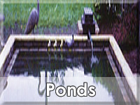 Ponds